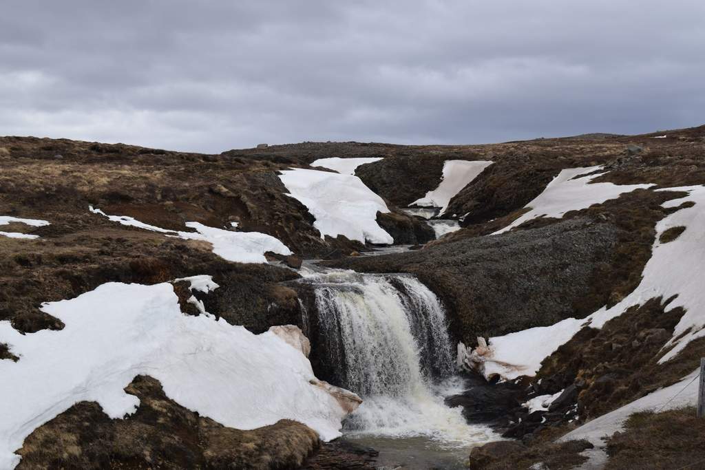 DSC_2224.JPG