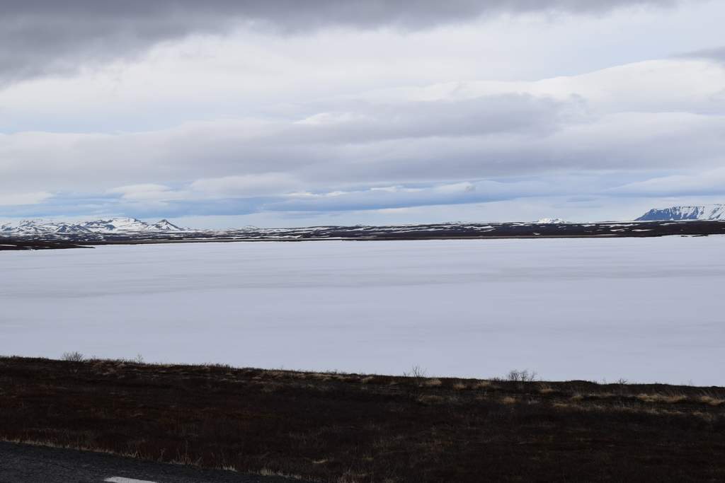 DSC_2228.JPG