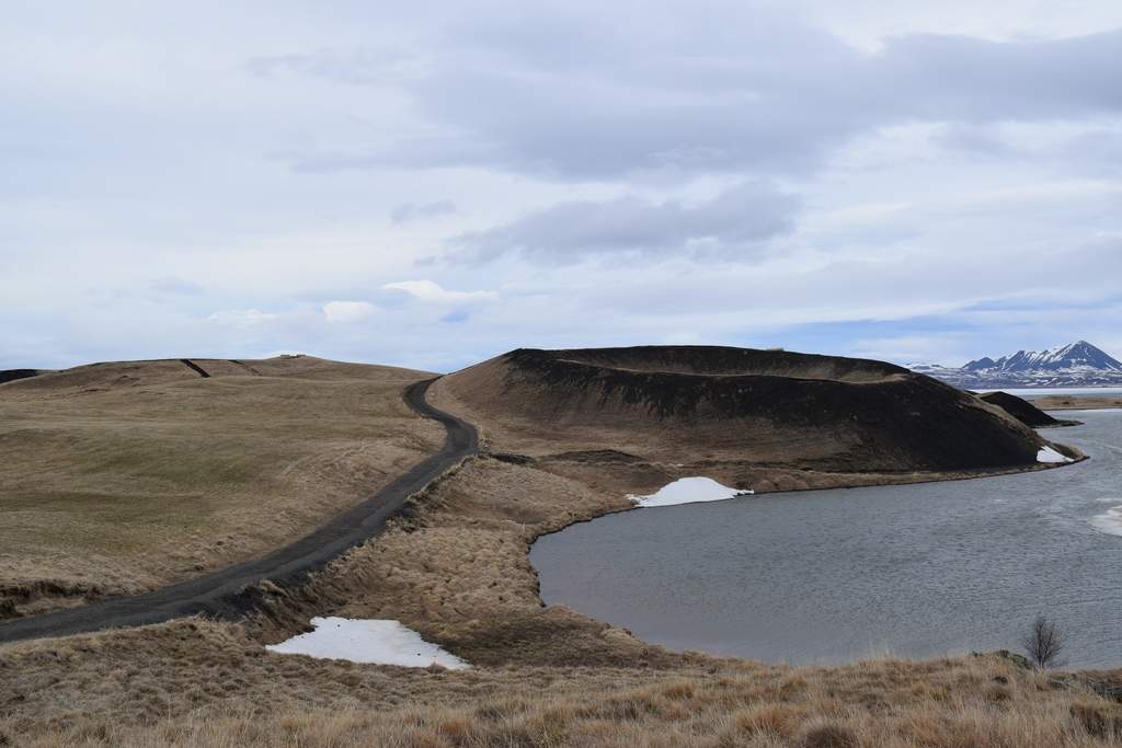DSC_2246.JPG