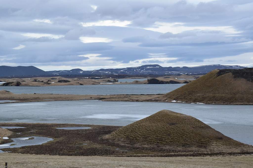DSC_2260.JPG