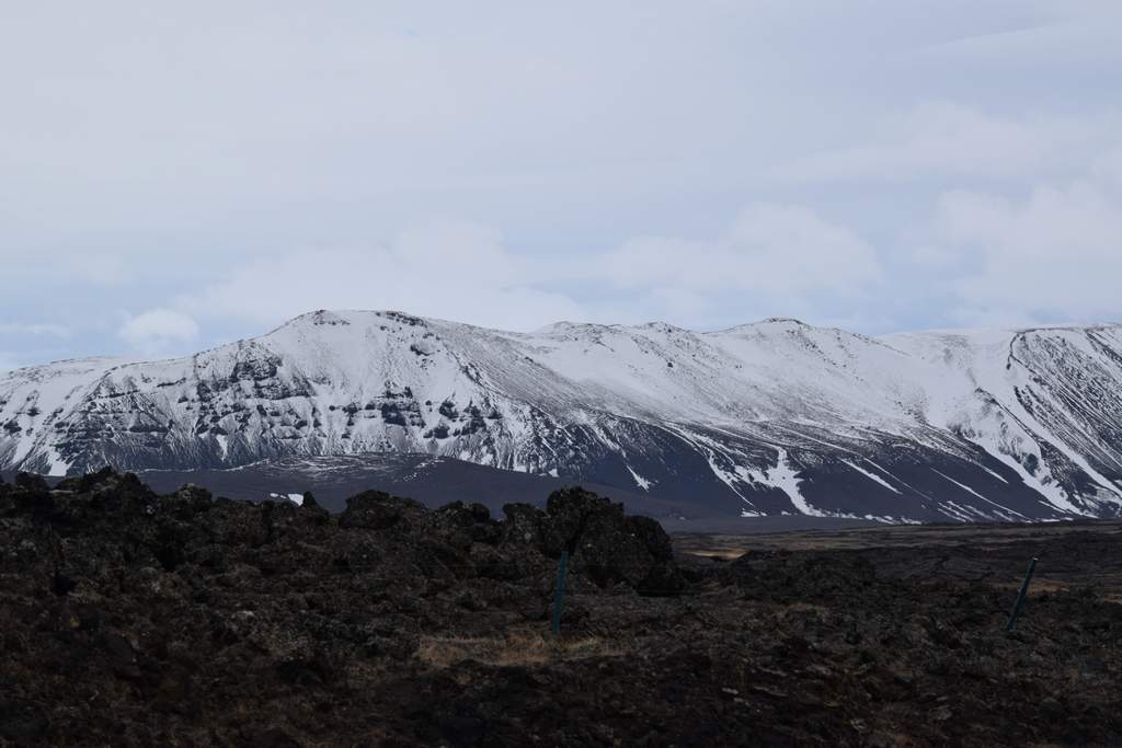 DSC_2271.JPG