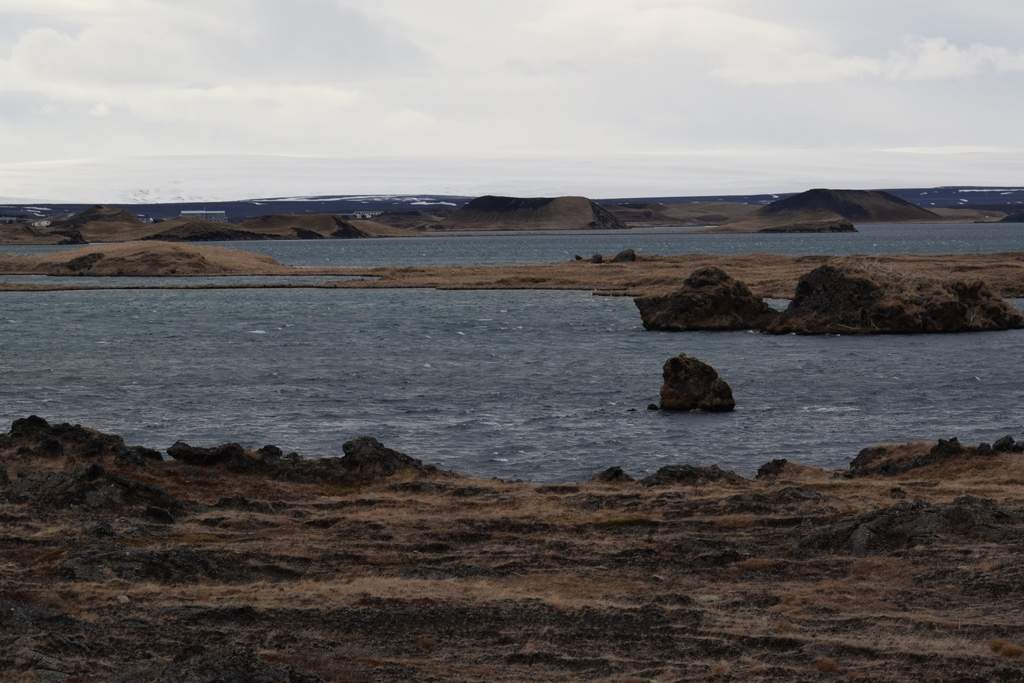 DSC_2276.JPG