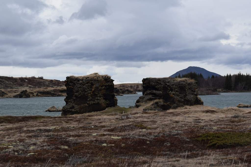DSC_2285.JPG