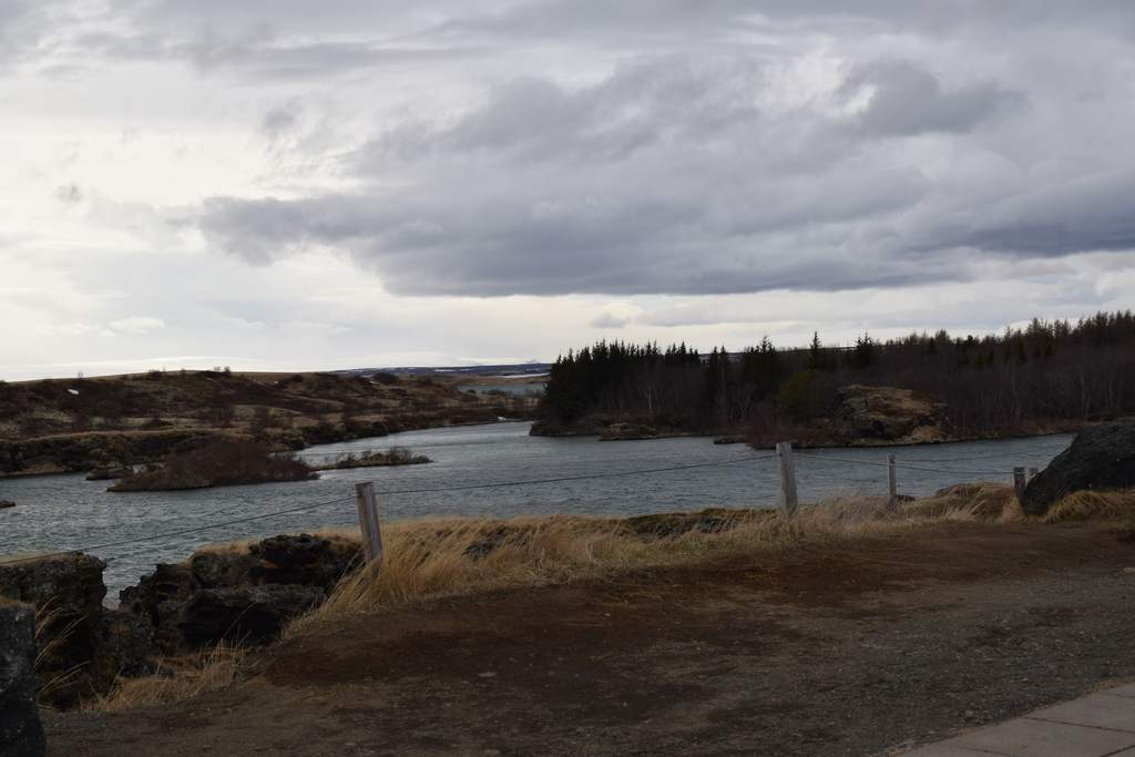 DSC_2294.JPG