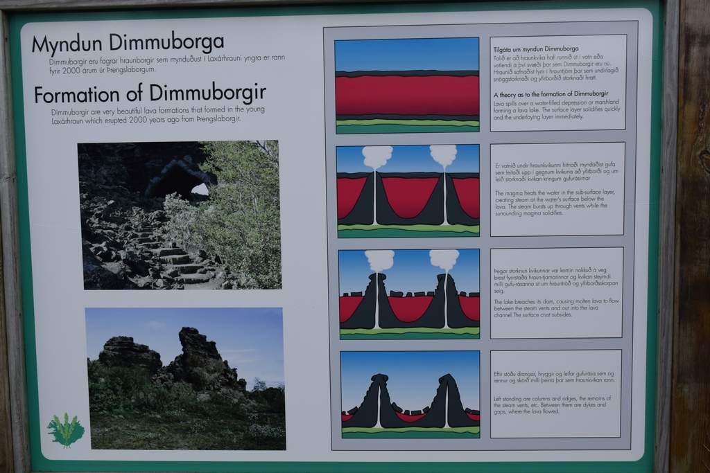 DSC_2317.JPG