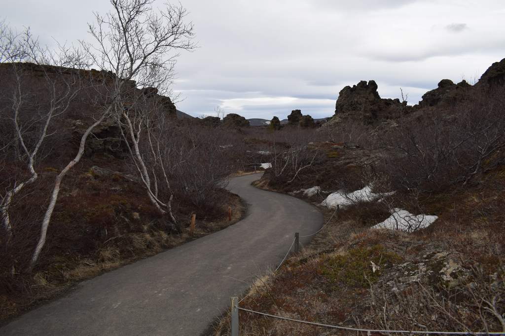 DSC_2323.JPG