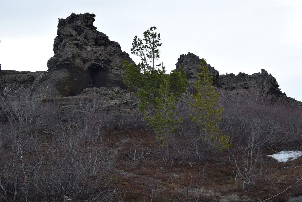 DSC_2364.JPG