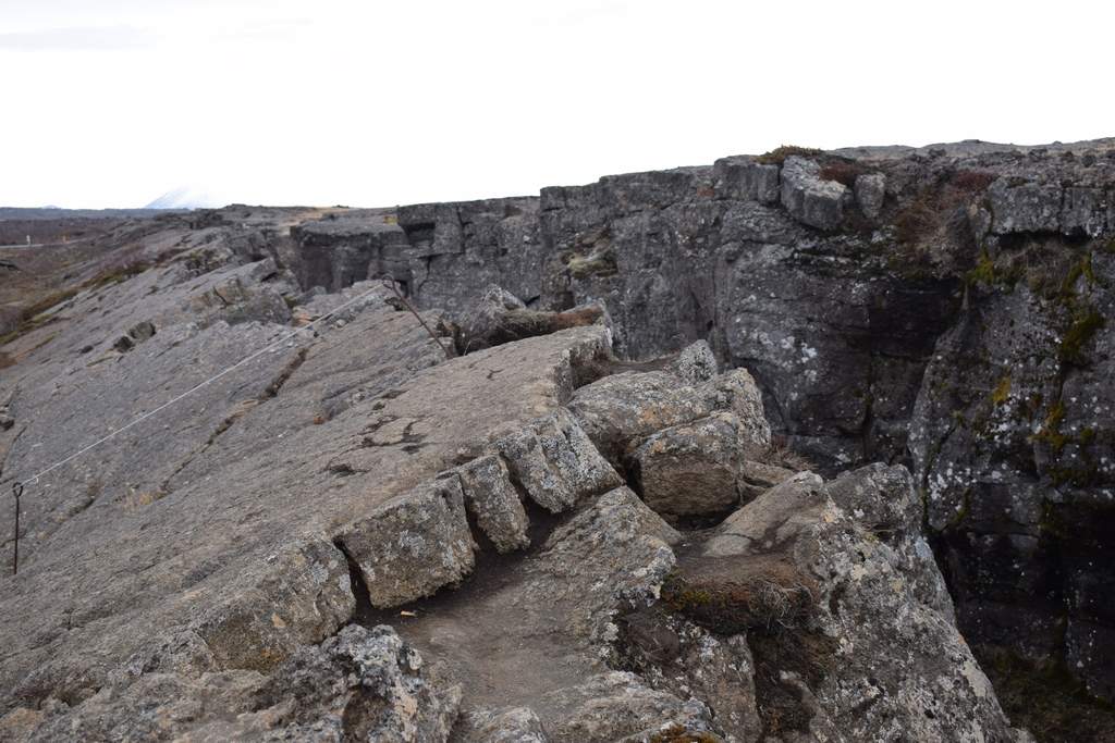 DSC_2429.JPG