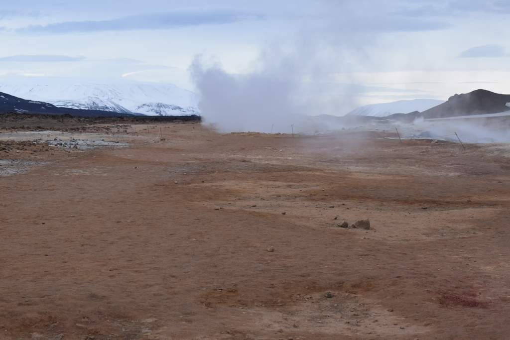 DSC_2560.JPG