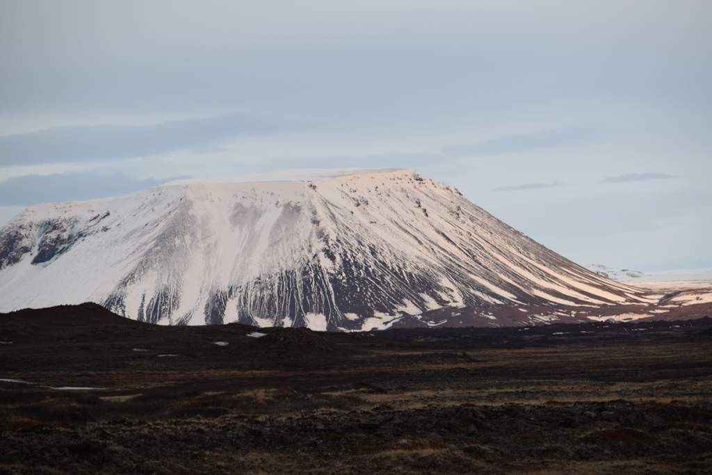 DSC_2612.JPG