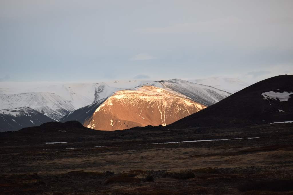 DSC_2613.JPG
