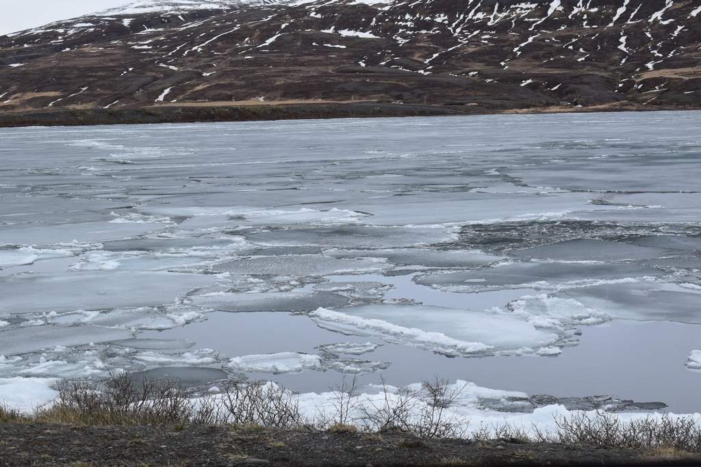 DSC_2710.JPG