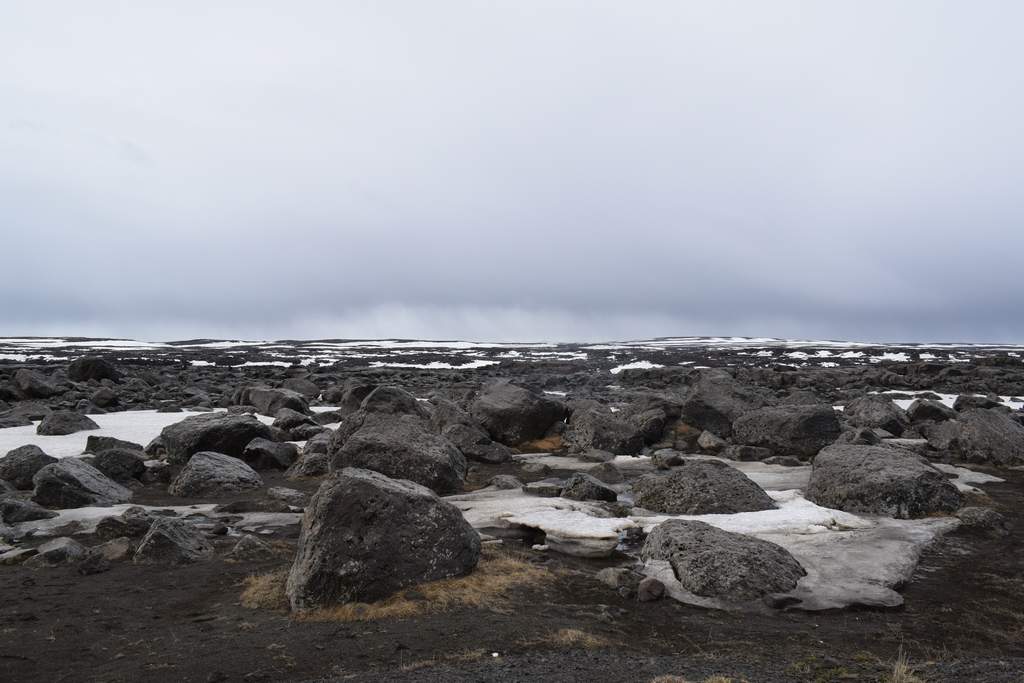 DSC_2724.JPG