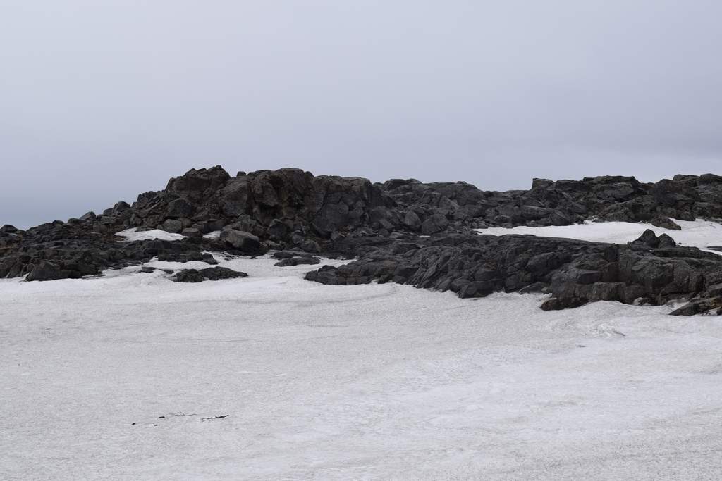 DSC_2732.JPG