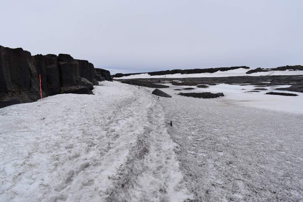 DSC_2832.JPG