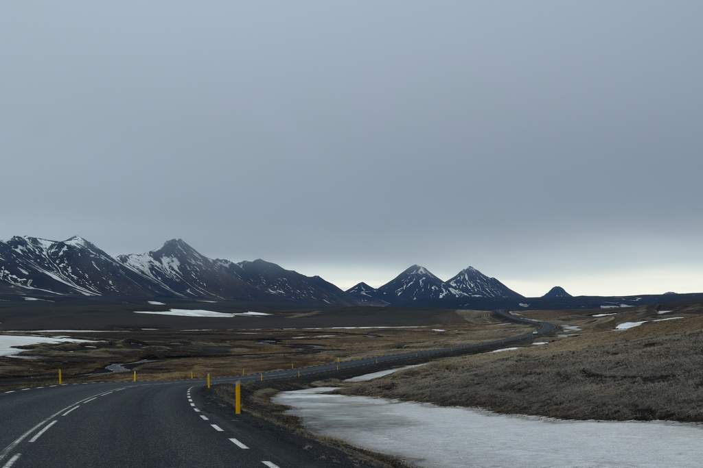 DSC_2863.JPG