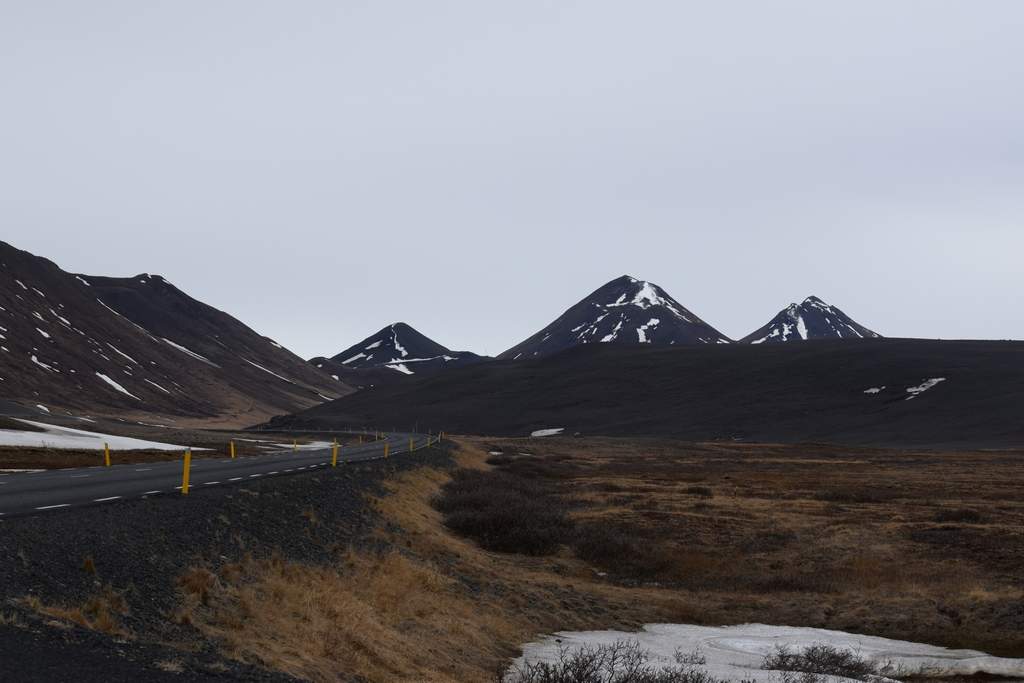 DSC_2866.JPG