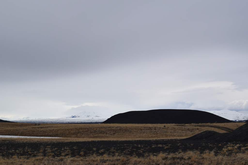 DSC_2867.JPG