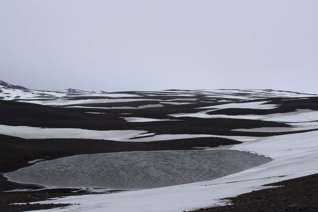 DSC_2872.JPG