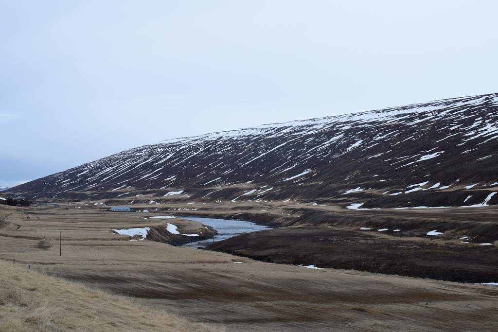 DSC_2884.JPG