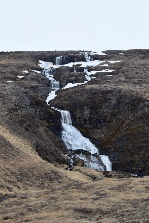 DSC_2888.JPG
