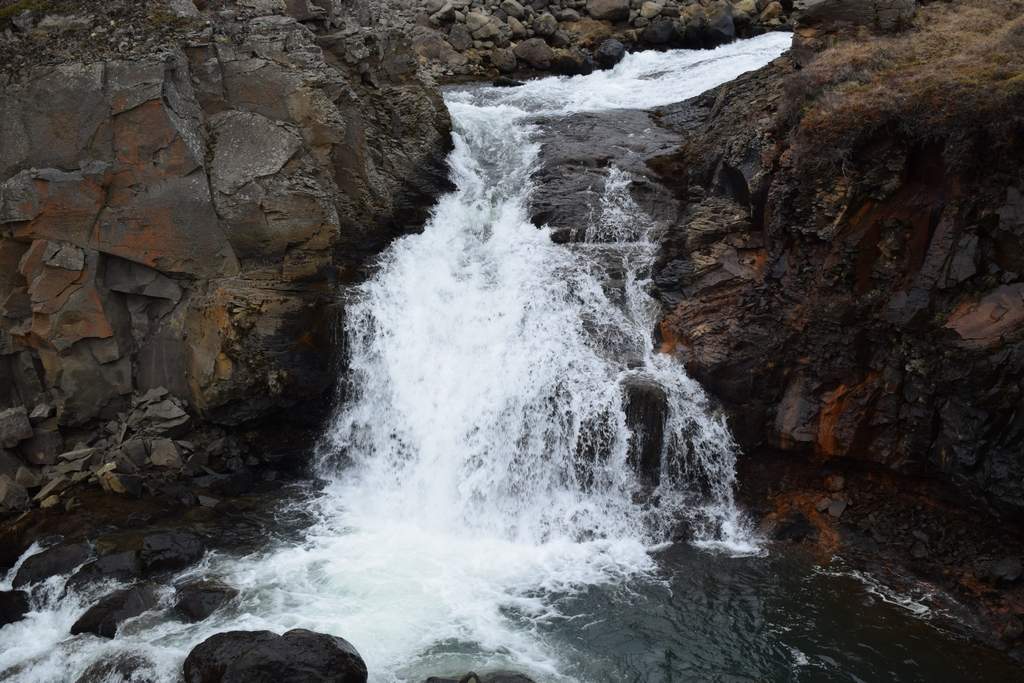 DSC_2894.JPG
