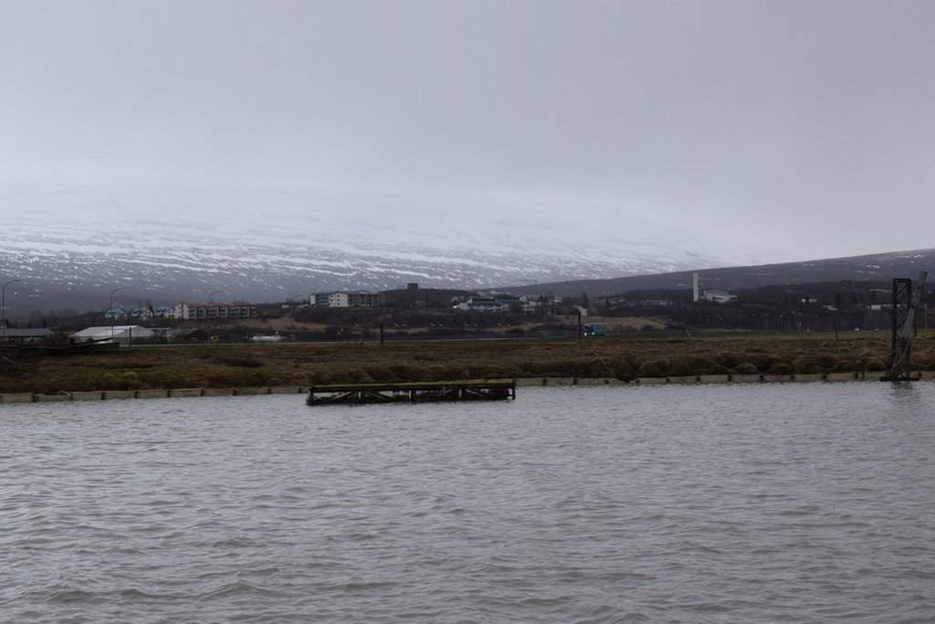 DSC_2918.JPG