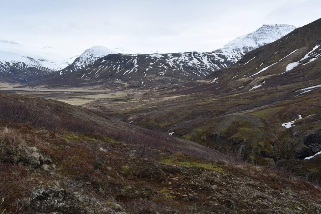 DSC_2973.JPG