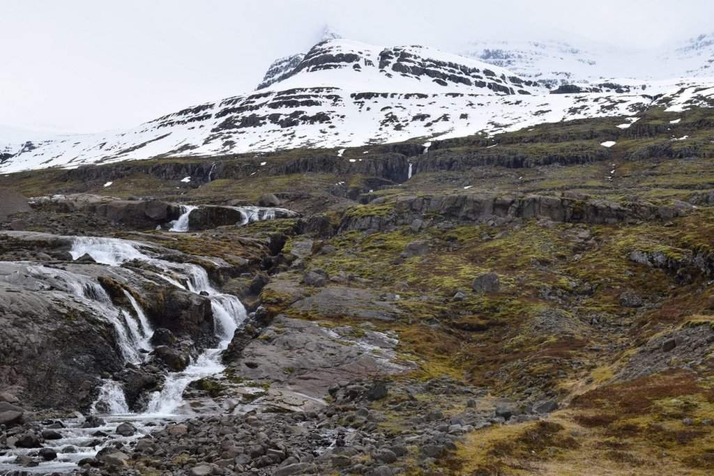 DSC_3003.JPG