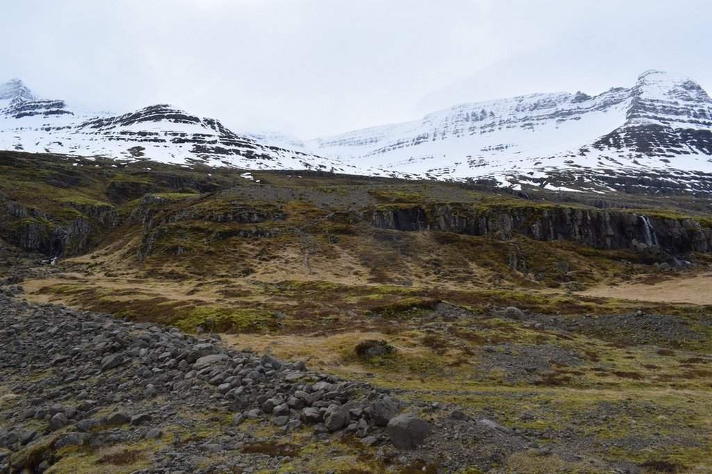 DSC_3009.JPG