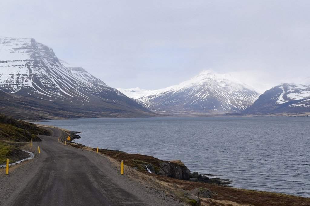 DSC_3015.JPG