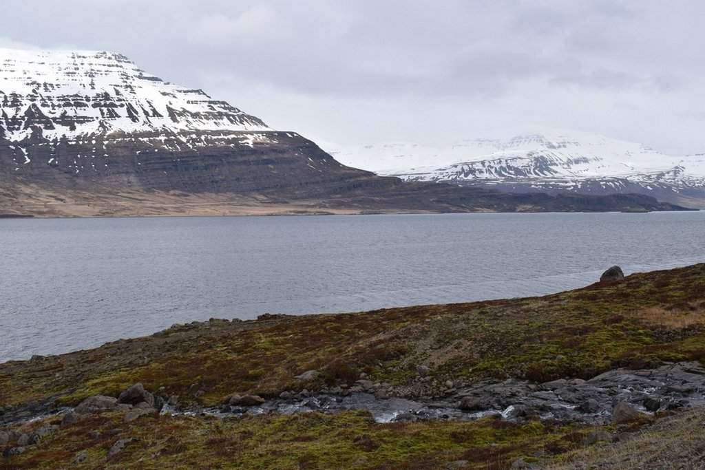DSC_3018.JPG