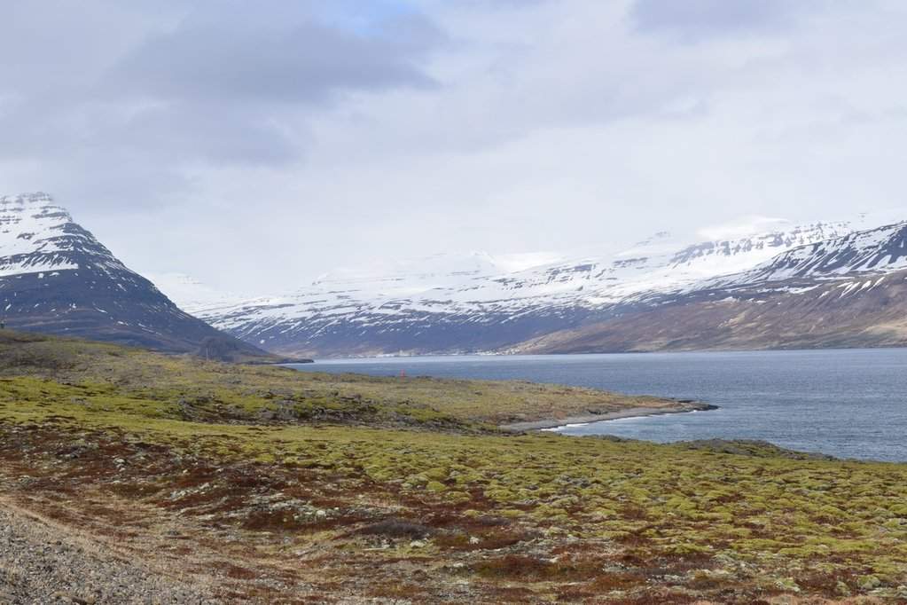 DSC_3038.JPG