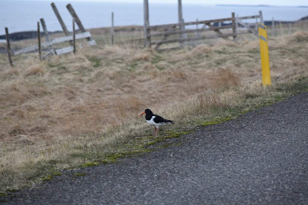 DSC_3054.JPG