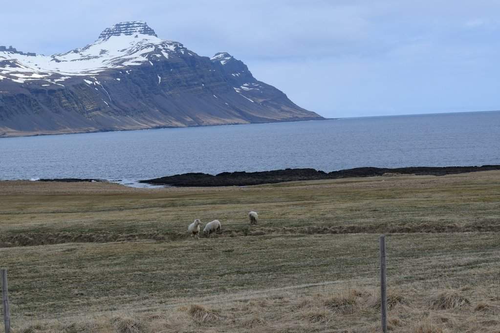 DSC_3060.JPG