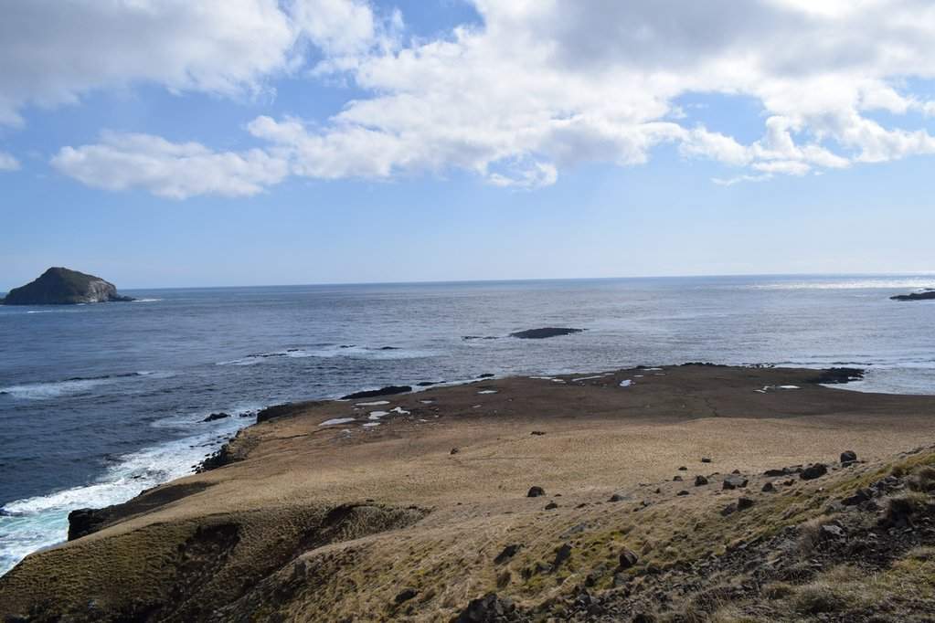 DSC_3081.JPG