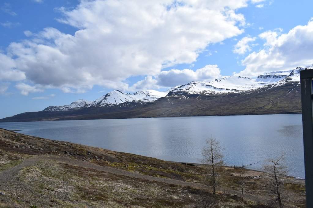 DSC_3096.JPG