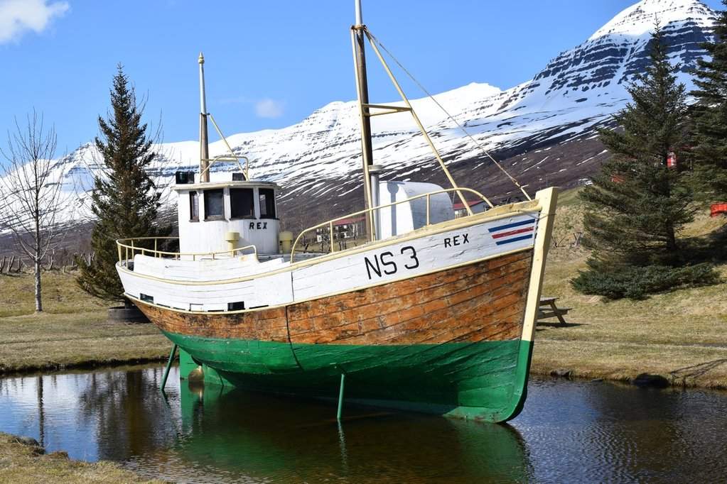 DSC_3118.JPG