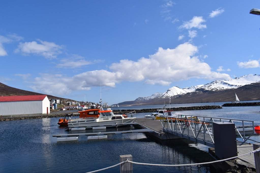 DSC_3124.JPG
