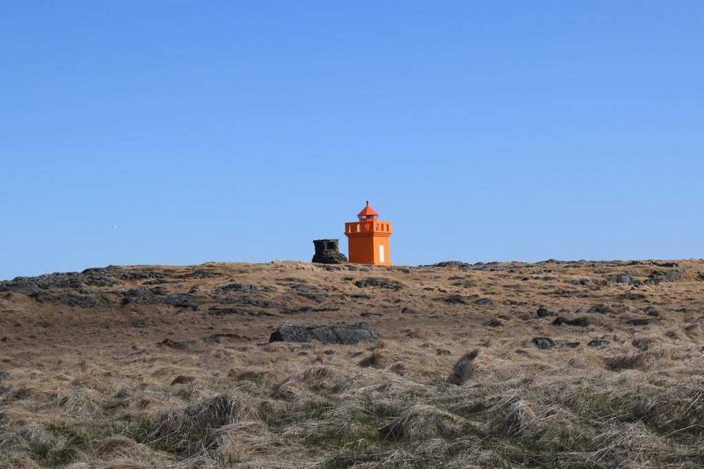 DSC_3136.JPG