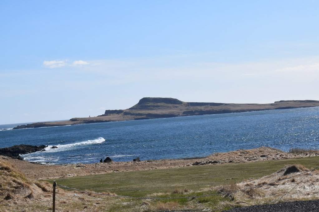 DSC_3141.JPG