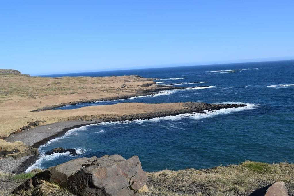 DSC_3156.JPG