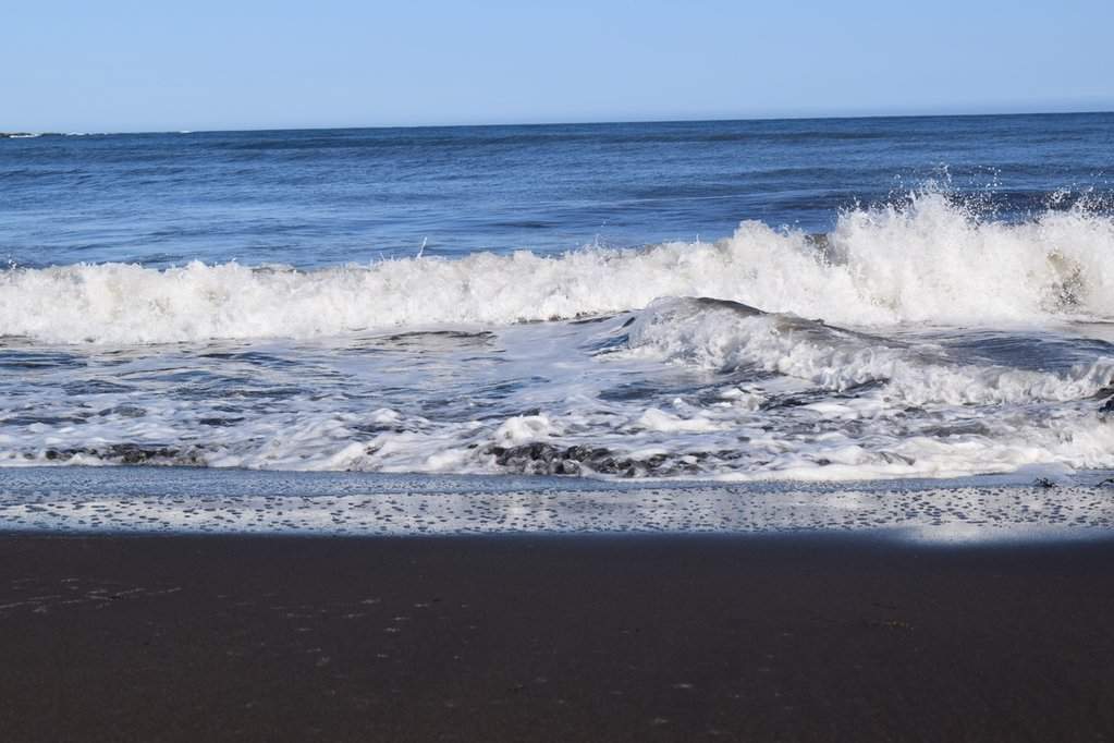 DSC_3169.JPG