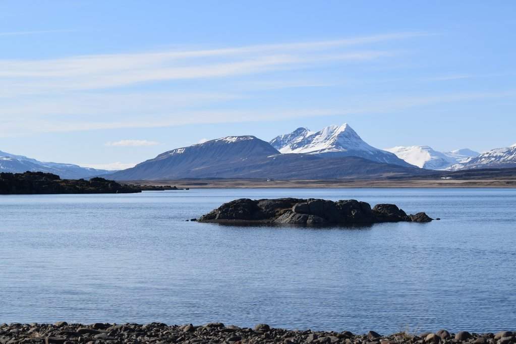 DSC_3194.JPG