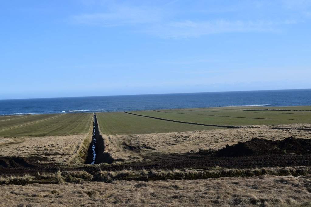 DSC_3206.JPG