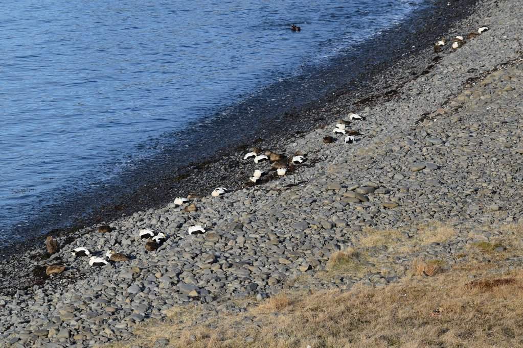 DSC_3227.JPG