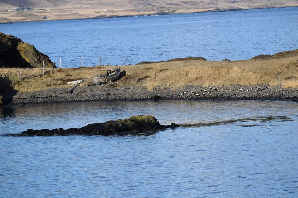 DSC_3229.JPG