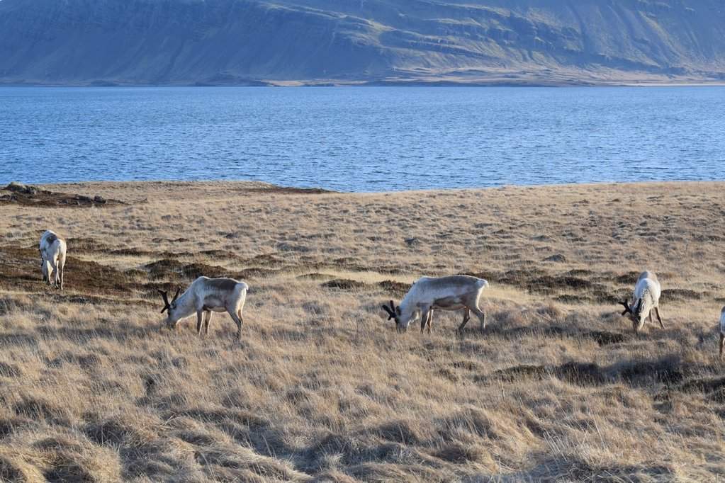 DSC_3234.JPG