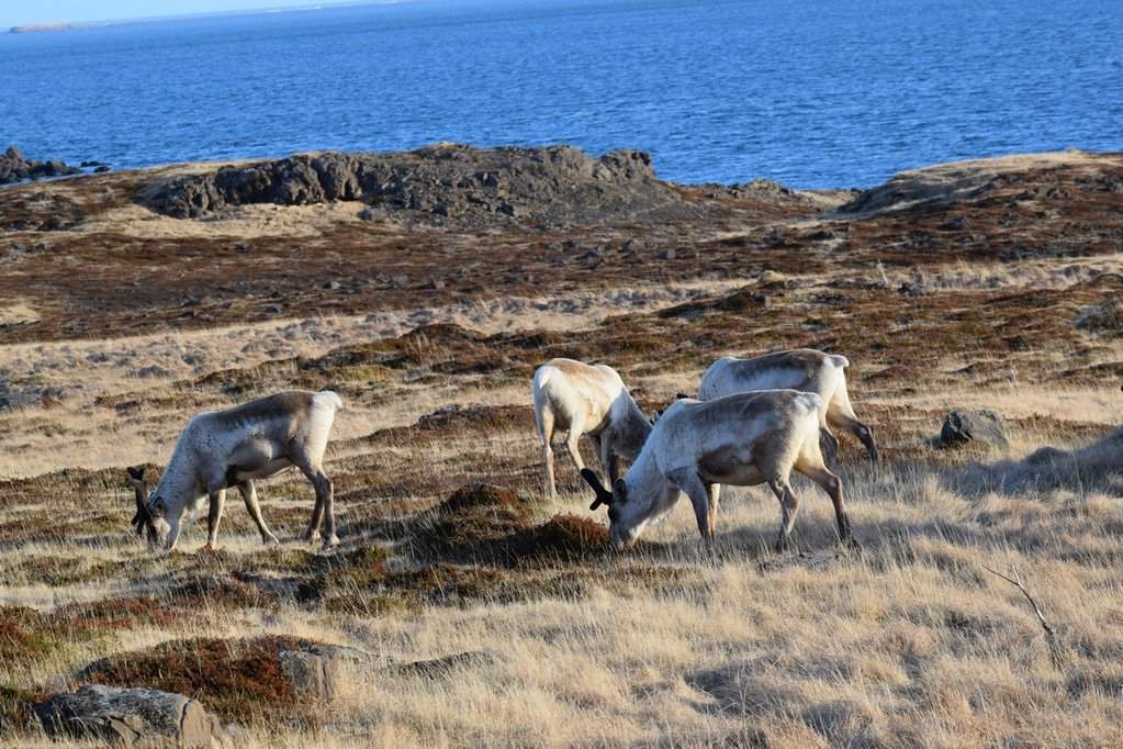 DSC_3236.JPG