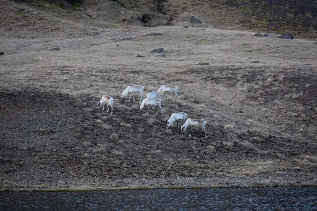 DSC_3252.JPG